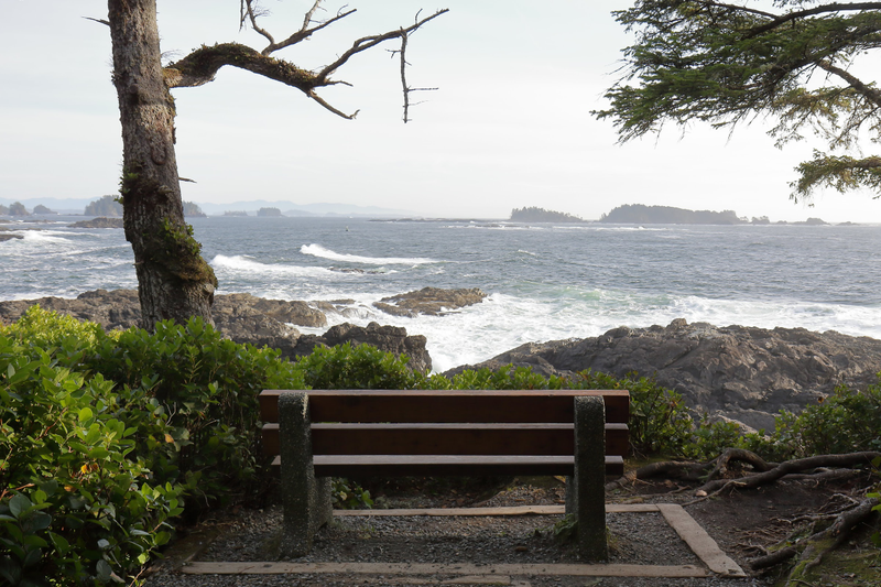 Illustration for article titled Trip Recap: 2017-12-09 on the Pacific Rim Highway to the Wild Pacific Trail
